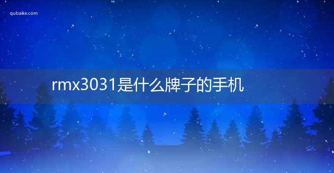 rmx3031是什么牌子的手机