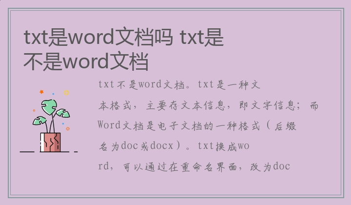 txt是word文档吗 txt是不是word文档