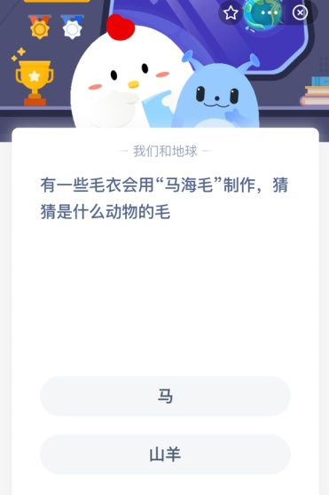 有一些毛衣会用“马海毛”制作，猜猜是什么动物的毛？