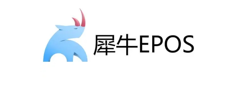 epos支付什么意思