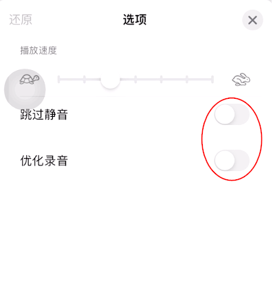 iOS15如何开启语音备忘录跳过静音?iOS15语音备忘录跳过静音开启方法截图