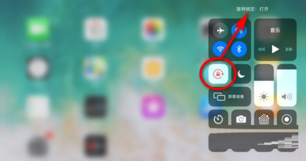 iPadair4怎么关闭自动旋转?iPadair4关闭自动旋转方法截图