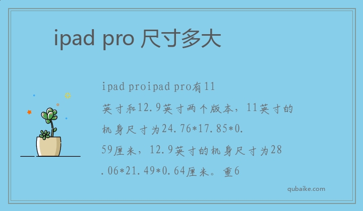 ipad pro 尺寸多大