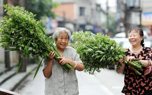 2022端午节门口挂艾草是倒挂还是正挂2