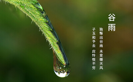 谷雨这天可以动针线吗1