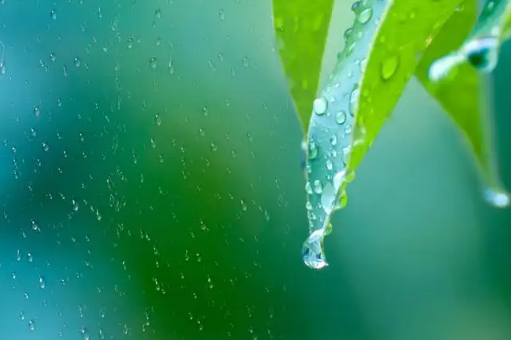 2020年下半年雨水是多还是少2