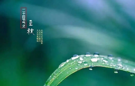 2022年立秋后雨水大吗3