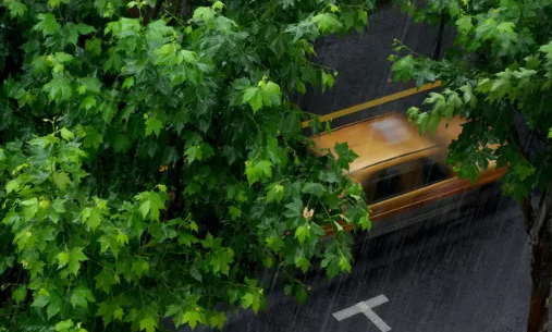 人工降雨的水可以喝吗3