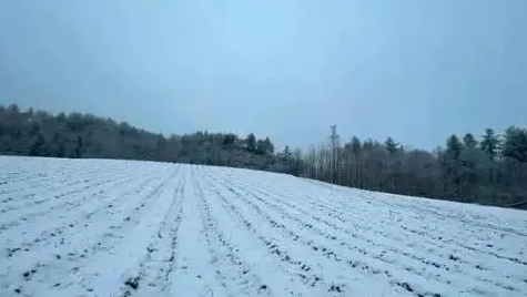 2023小雪节气一定会下雪吗3