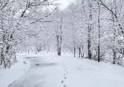 正月里下雪是好兆头吗1