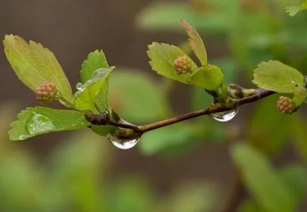 2023雨水节气还冷吗1