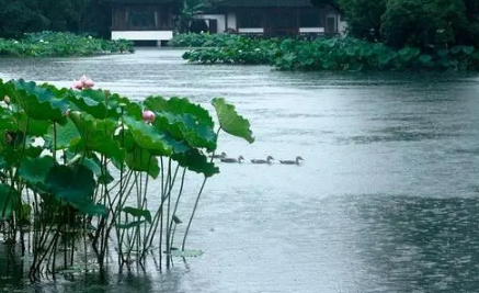 2023年梅雨季节是夏季吗1