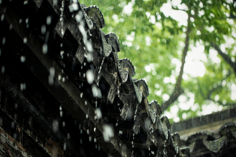 2023年春天是雨多还是雨少3