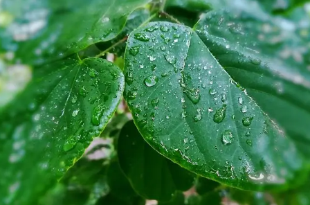 2023年苏州三月份下雨多吗1