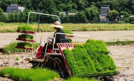 粮食补贴是不是谁种地就给谁3