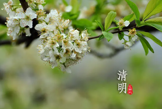 2023年清明节会下雨吗2