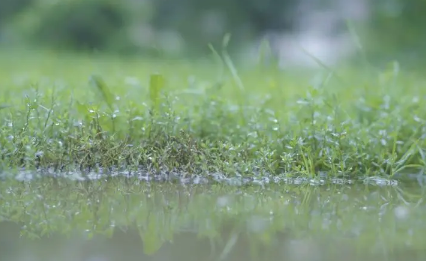 2023年四月份会一直下雨吗1