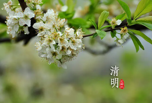 清明节烧纸在十字路口的哪个角烧好（清明节烧纸在十字路口哪个方向）