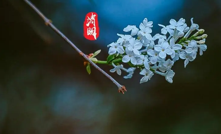 2023清明节不下雨好不好有啥预兆3