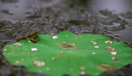 2023长沙梅雨季节是哪几个月2