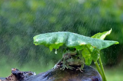 2023年重庆梅雨季节什么时候开始什么时候结束1