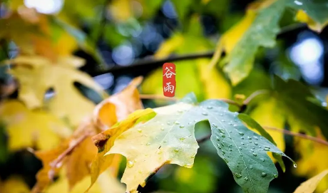 2023谷雨是不是祈福好日子吗,2023谷雨可以去寺庙吗