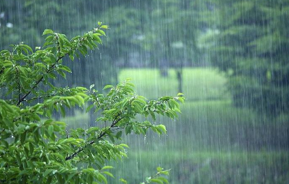 2023年重庆有梅雨季节吗2