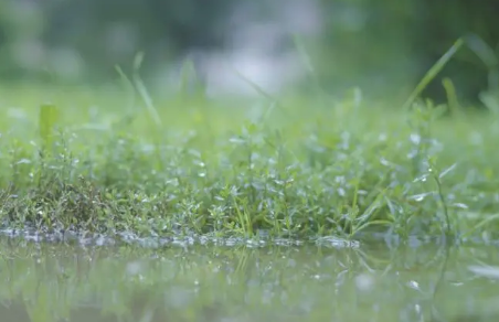 2023年五一成都下雨吗1