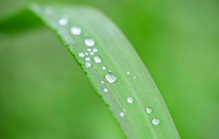 谷雨时节为何风这么大（2023谷雨前后风还大吗）