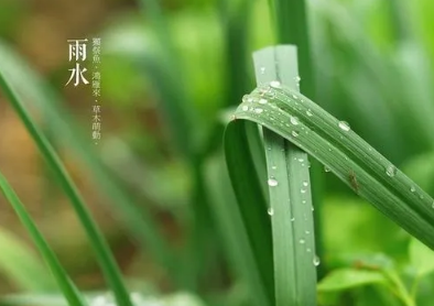 谷雨还会倒春寒吗 2023谷雨前后雨水多吗