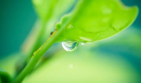 今日小满下雨好还是晴天好20231