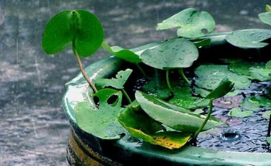 6月份是不是梅雨季节3