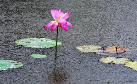 7月份是雨季吗1