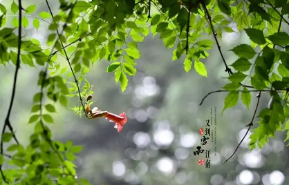 7月份梅雨季节是否结束3