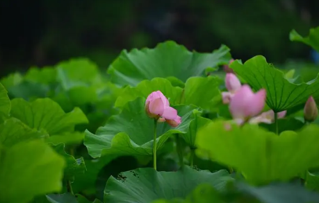 2023年7月是夏天吗2