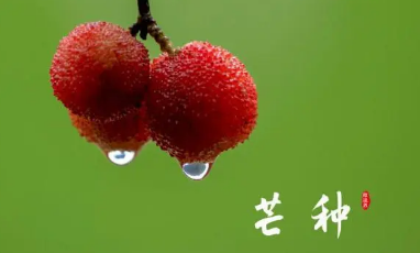 2023年芒种下雨是旱还是涝2