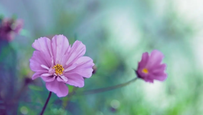 2023年8月有没有法定节假日2