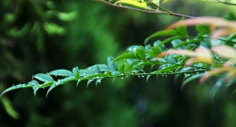 2023年秋季雨水量大吗1