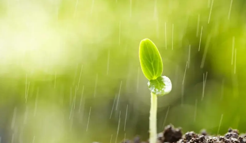 2023年7月8月雨水大吗1