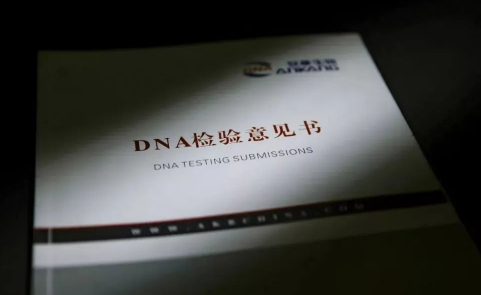 dna鉴定需要提供什么样本(dna鉴定试剂盒多少钱)