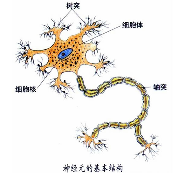 如何才能高效学习，99%的人不知道的高效学习法