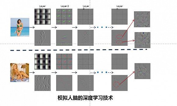 “色流”产业十年风云录：40万大军 吸食百亿利润