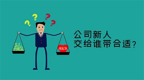 公司新人到底应该如何带？