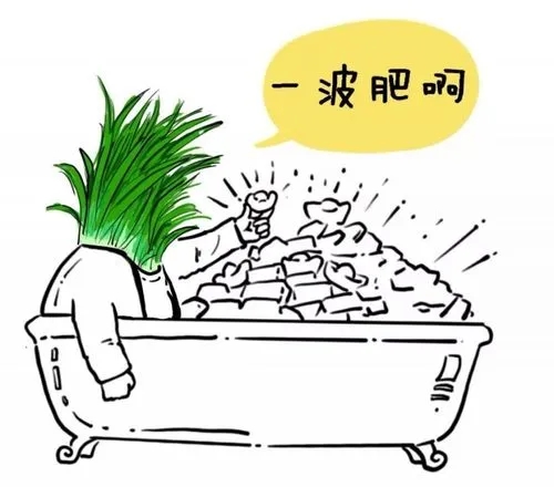 他问我自己是不是被割韭菜了？