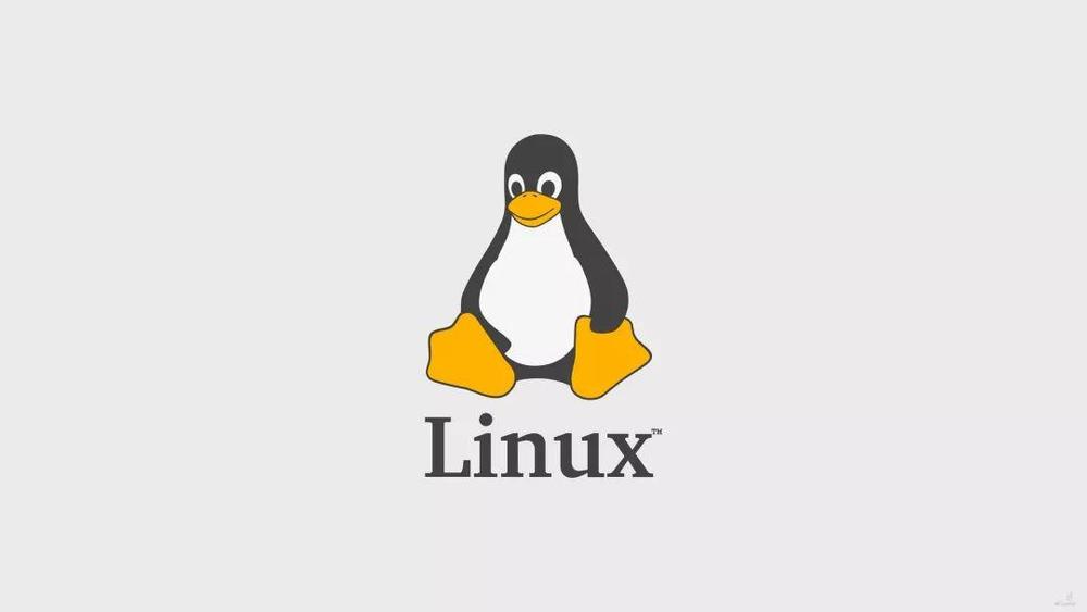 Linux发展史上造成重大影响的四位天才黑客