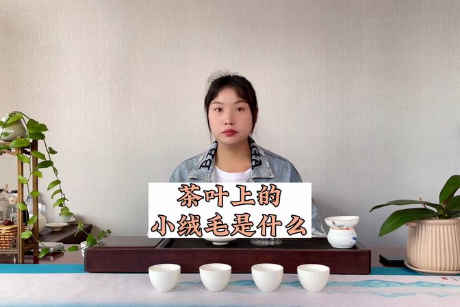 茶叶里的绒毛是什么（科普茶树的生长过程和影响茶叶品质的因素）