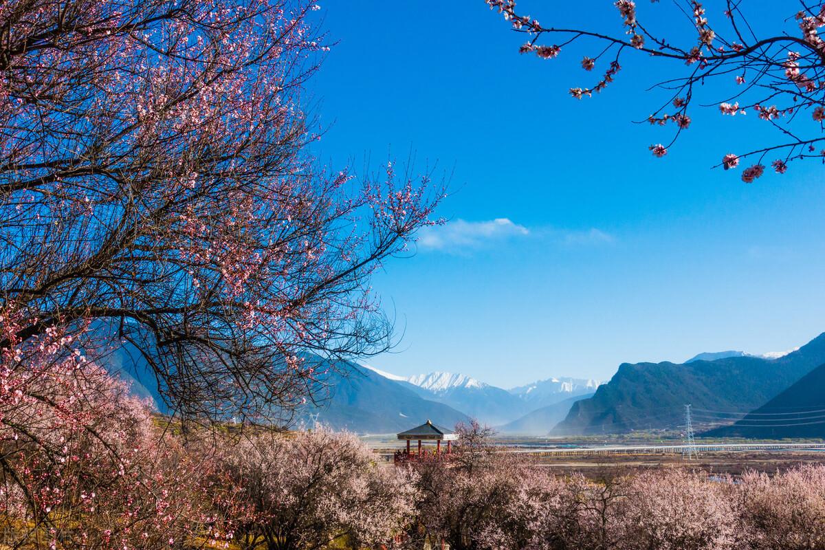 林芝海拔多少米（西藏林芝海拔高度是多少米）