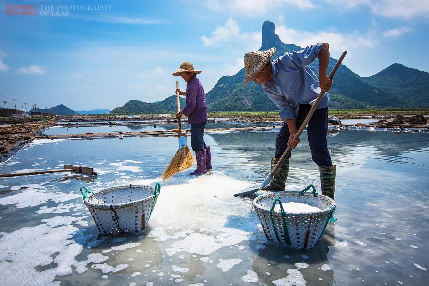 为什么海水是咸的（为什么海水是咸的河水是淡的）