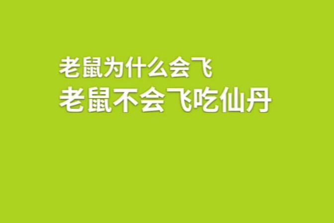 老鼠为什么会飞（科学原理与实验解释）