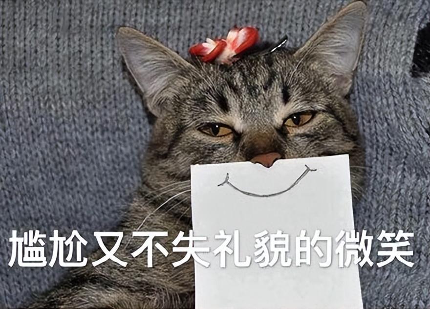 狸花猫千万不能养（狸花猫的优点与缺点）